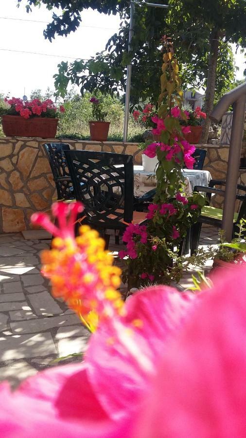 Apartmani Anica Рисика Экстерьер фото